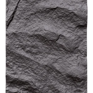 ACH-1001