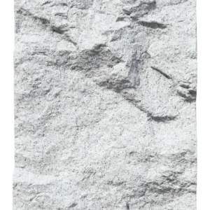 ACH-2051