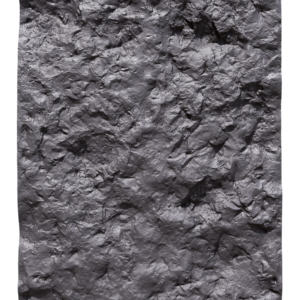ACH-5001