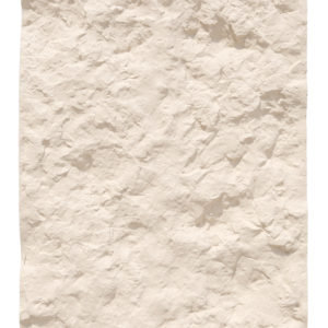 ACH-5005