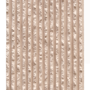ACH-6006
