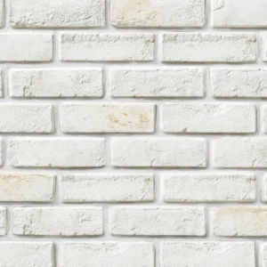 DS-901 (Grouting: GM-16)