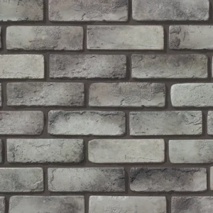 DS-906 (Grouting: GM-01)